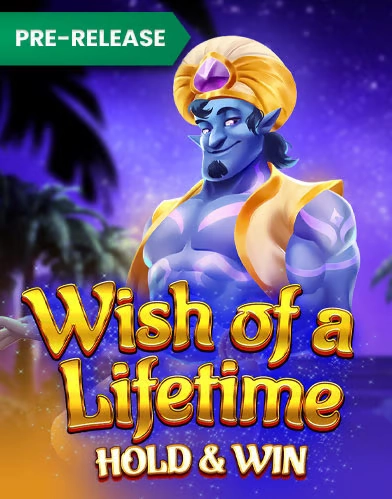 Wish of a Lifetime